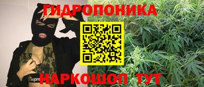 мескалин Заводоуковск
